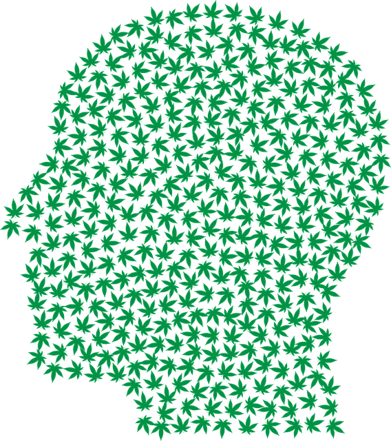 Die Wirkung von CBD Was ist CBD?