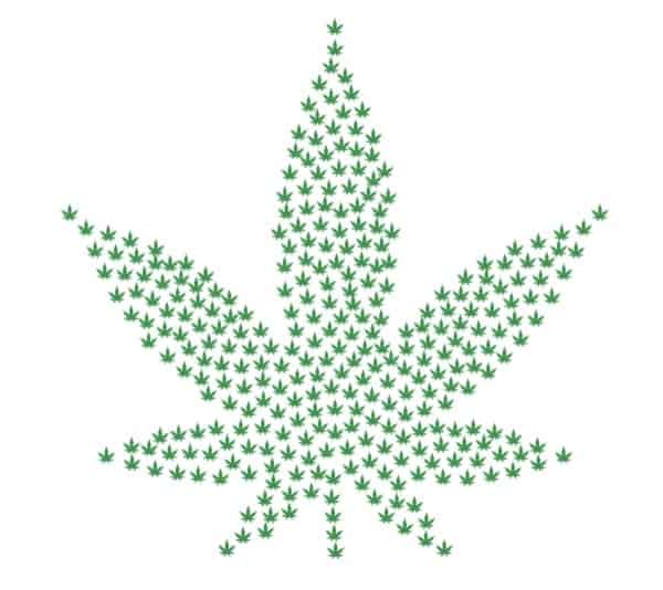 was ist cbd Was ist CBD?